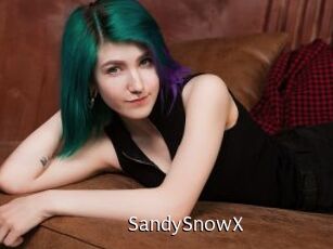 SandySnowX Anal Fist