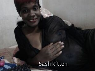 Sash_kitten