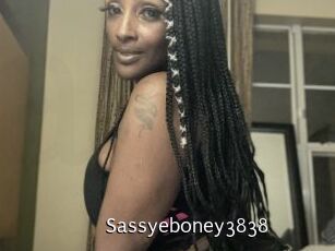 Sassyeboney3838 Anal Fist