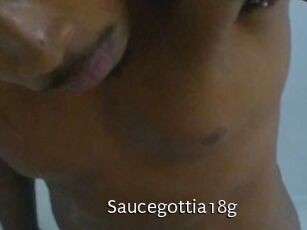 Saucegottia18g