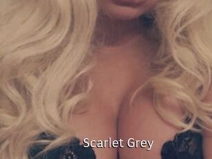 Scarlet_Grey