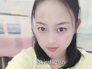 Scindapsus