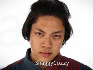 ShaggyCozzy