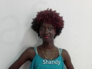 Shandy