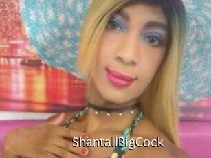 ShantallBigCock