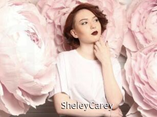 SheleyCarey