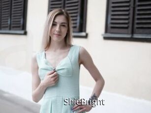 ShieBright Anal Fist