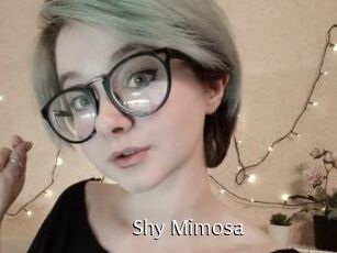 Shy_Mimosa