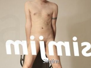 SimJim Anal Fist