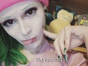 SkyBurrito