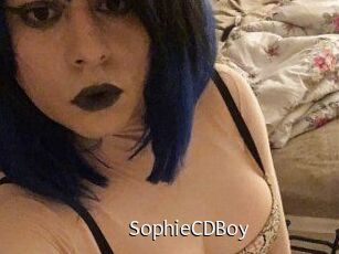SophieCDBoy Anal Fist