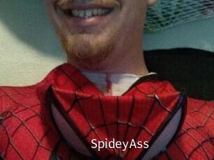 SpideyAss
