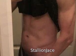 StallionJace