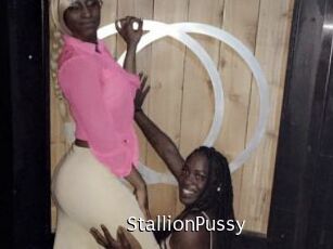 StallionPussy
