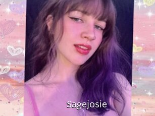 sagejosie Anal Fist