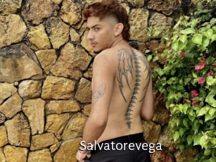 Salvatorevega