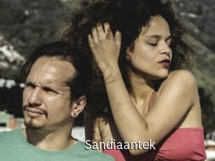 sandiaantek Anal Fist