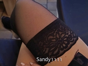 Sandy1111