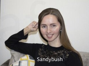 Sandybush