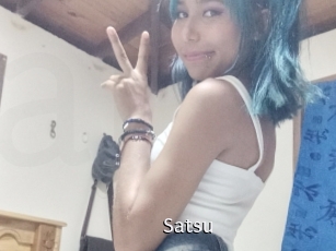 satsu Anal Fist