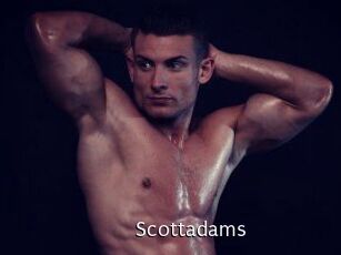 Scottadams