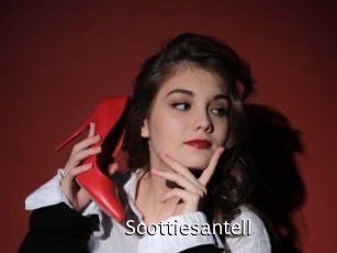 Scottiesantell