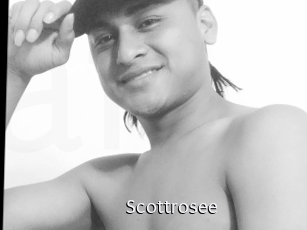 Scottrosee