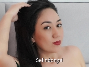 Selindongel