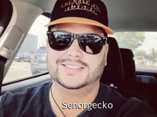 Senorgecko
