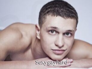 Sexygayhard