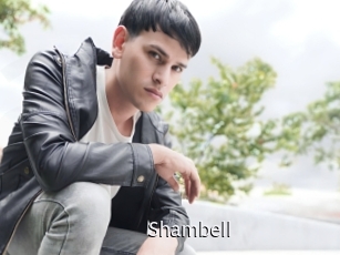 shambell Anal Fist