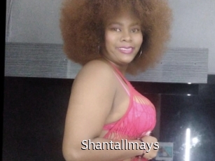 Shantallmays
