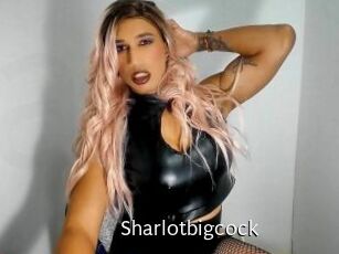 sharlotbigcock Anal Fist