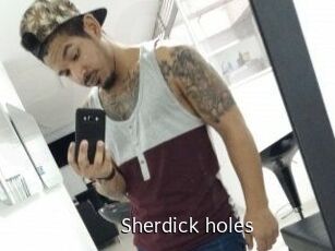 Sherdick_holes