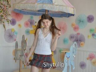 Shytulip