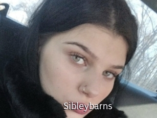 Sibleybarns