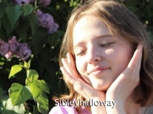 Sibleyhalloway