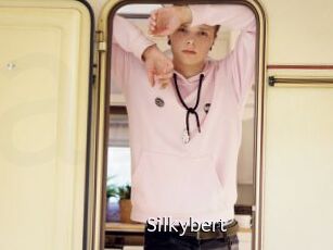 Silkybert