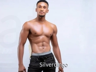 Silverdingo