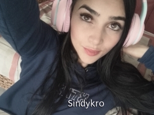 Sindykro