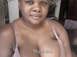 Skybirdxx