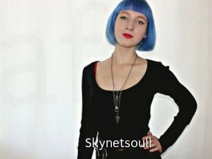Skynetsoull