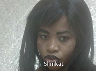slimkat Anal Fist