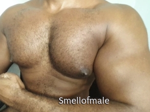 smellofmale Anal Fist