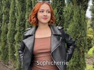 Sophicherrie