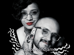 sophieandjames Anal Fist