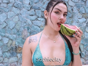 sophieclay Anal Fist