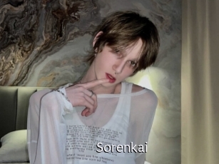sorenkai Anal Fist