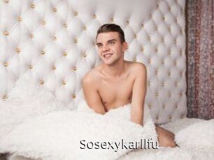 Sosexykarllfu