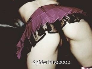 Spiderbite2002